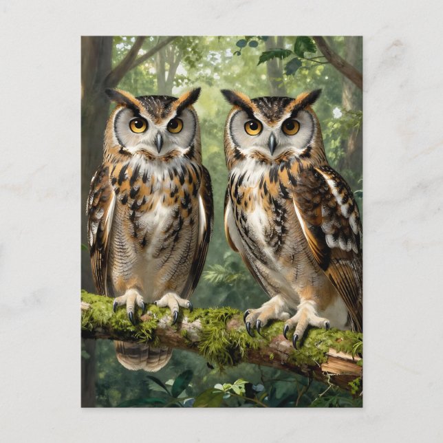 Postal Búhos Águila Majestuosos en Percha del Bosque (Anverso)