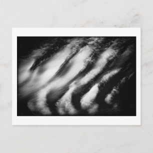 Postal buitres caídos