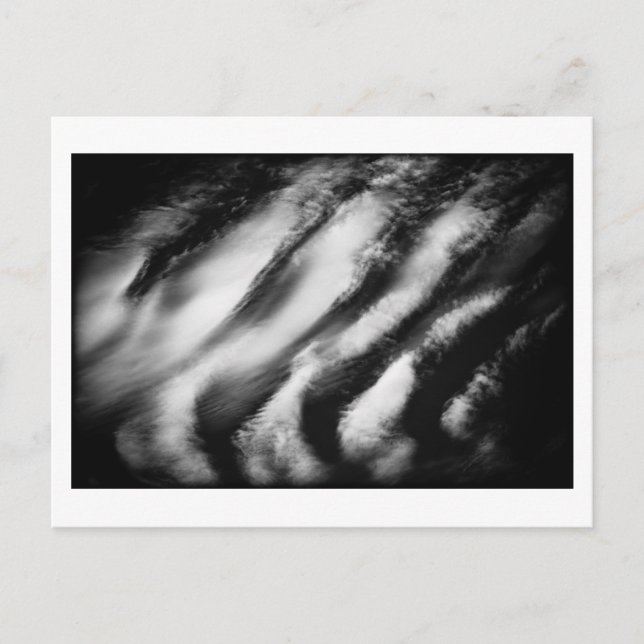 Postal buitres caídos (Anverso)