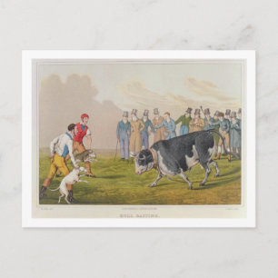 Postal 'Bull Baiting', pub. por Thomas McLean, 1820, (imp