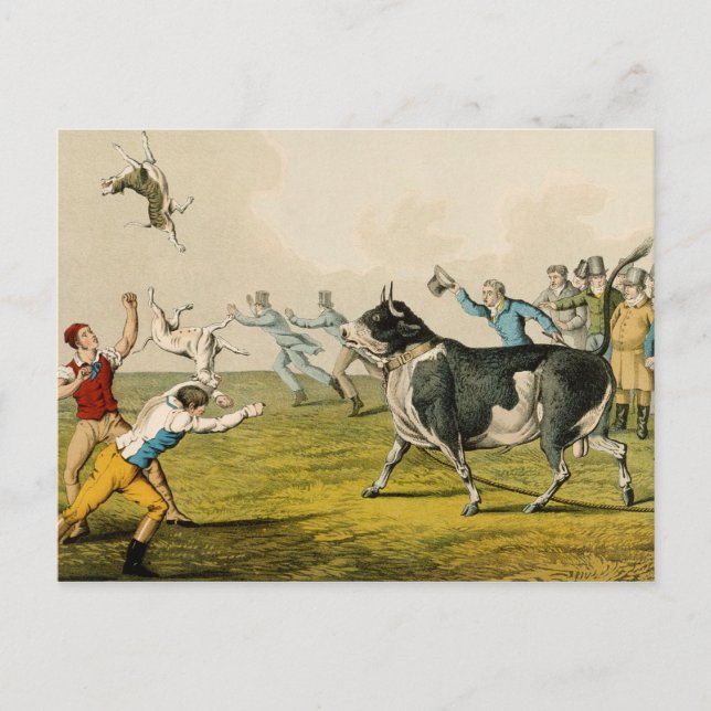 Postal 'Bull Baiting', pub. por Thomas McLean, 1820, (pri (Anverso)