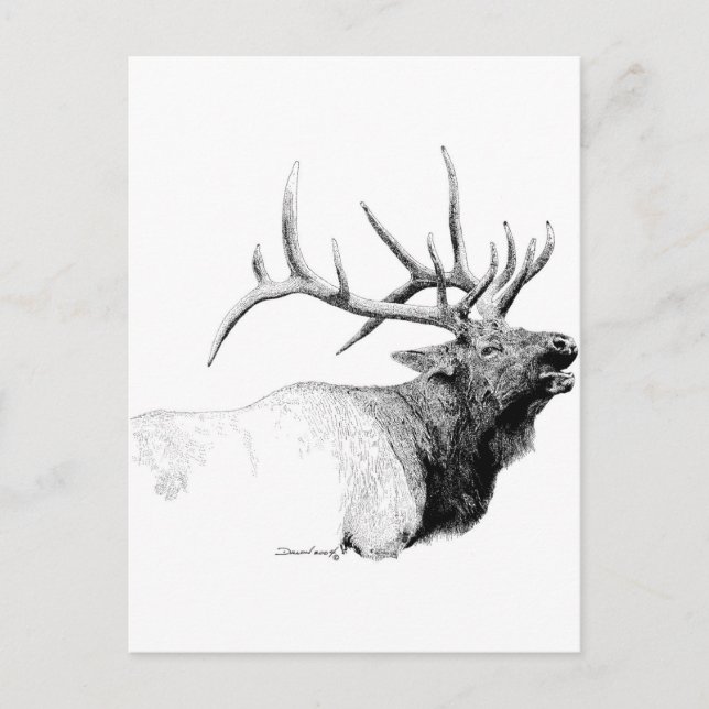 Postal Bull Elk (Anverso)