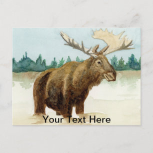Postal Bull Moose