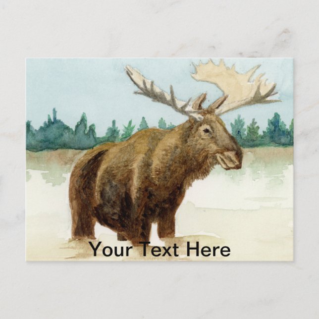 Postal Bull Moose (Anverso)