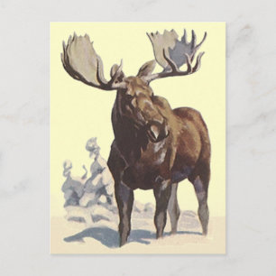 Postal Bull Moose ~ Sunny Winday TRAVEL POSTCARD