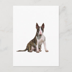 Postal Bull Terrier (B) - Atigrado y blanco