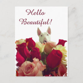 Postal Bull terrier con saludo de rosas - Hola hermosa