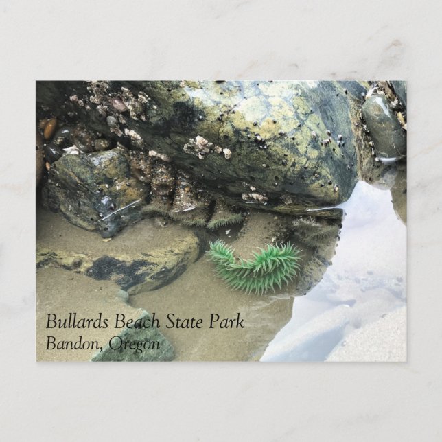 Postal Bullards Beach State Park, Bandon, Oregon (Anverso)