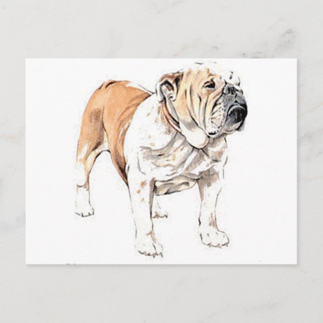 Postal Bulldog (Anverso)