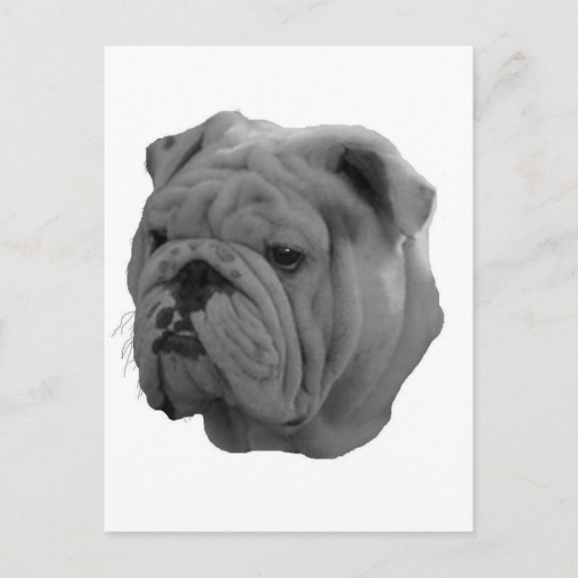 Postal Bulldog (Anverso)