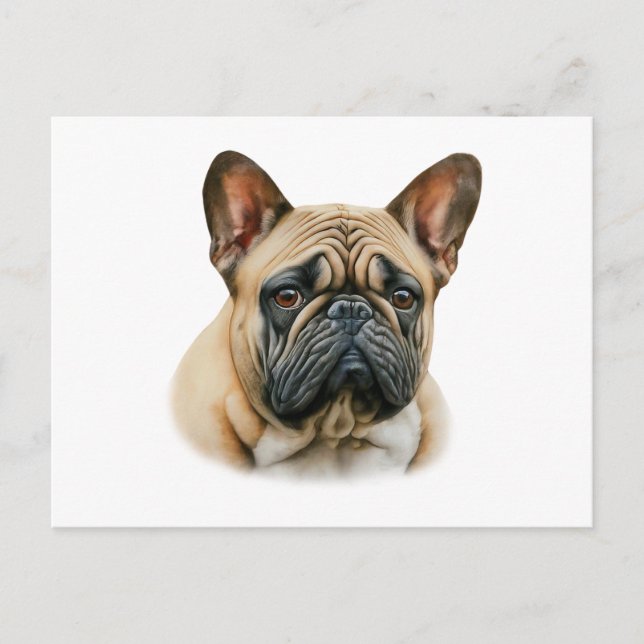 Postal Bulldog acuarela francés (Anverso)