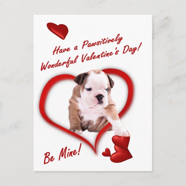 Postal Bulldog Amor Cachorro En Una Postcarta Sobre (Anverso)