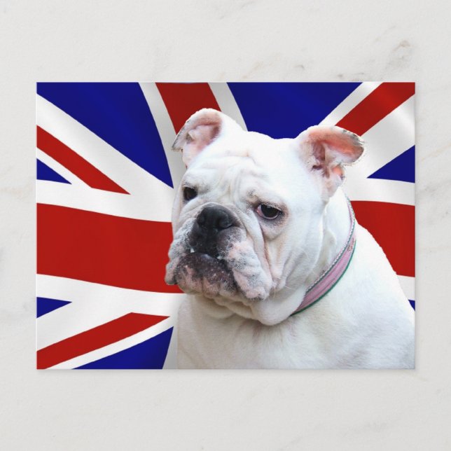 Postal Bulldog británico (Anverso)