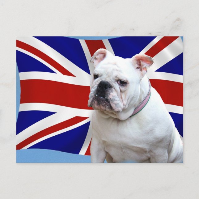 Postal Bulldog británico (Anverso)