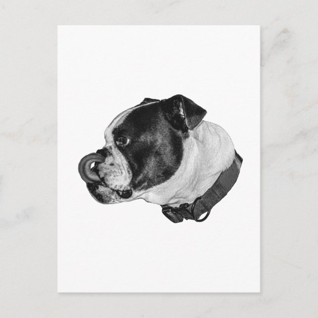 Postal Bulldog Calm Mail (Anverso)