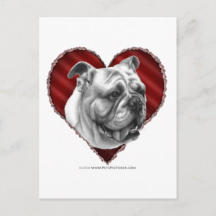 Postal Bulldog con corazón
