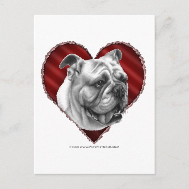 Postal Bulldog con corazón (Anverso)