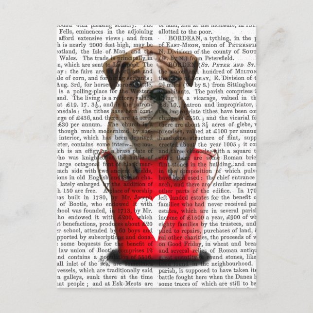 Postal Bulldog Cubo De Amor Rojo (Anverso)