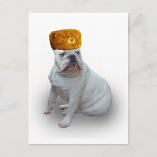 Postal Bulldog de camaradas