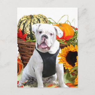 Postal Bulldog de Halloween