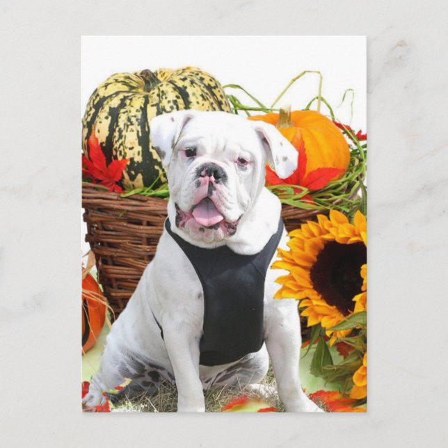 Postal Bulldog de Halloween (Anverso)