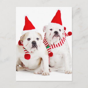 Postal Bulldog Elves