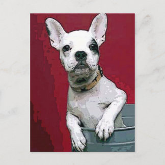 Postal Bulldog francés