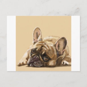 Postal Bulldog francés