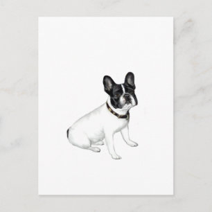 Postal Bulldog Francés (blanco con negro)