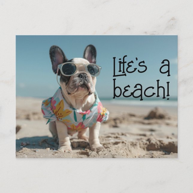 Postal Bulldog francés Cachorro con gafas de sol (Anverso)