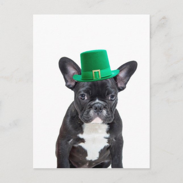 Postal Bulldog francés con el Día del Gorra San Patricio (Anverso)