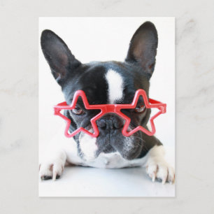 Postal Bulldog francés con los vidrios rojos de la