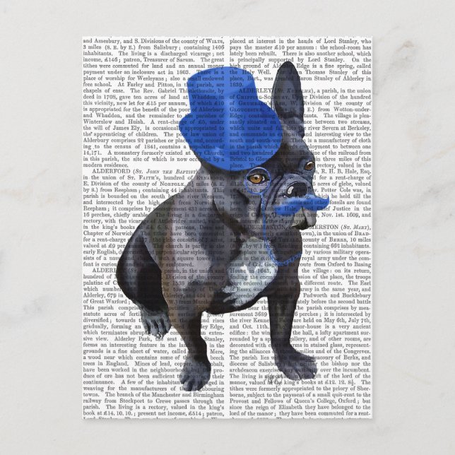 Postal Bulldog francés con sombrero azul superior y bigot (Anverso)