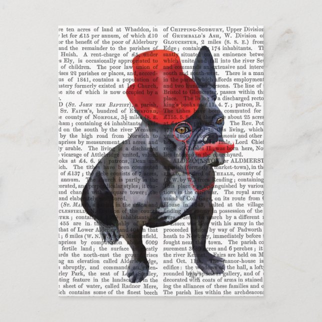 Postal Bulldog francés con sombrero rojo superior y bigot (Anverso)
