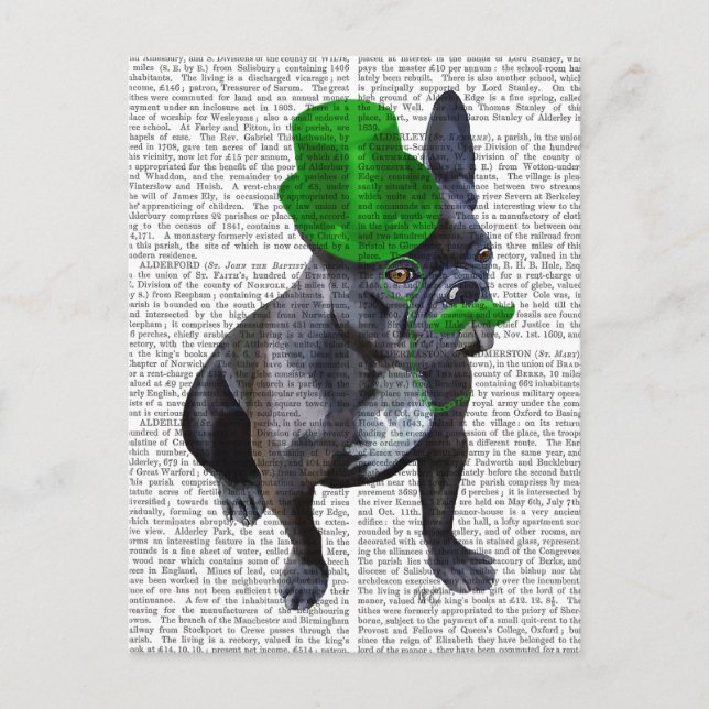 Postal Bulldog francés con sombrero verde superior y bigo (Anverso)
