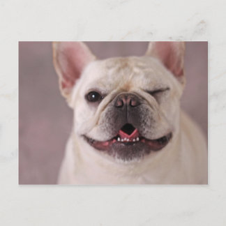 Postal Bulldog francés de perro con guiños divertidos