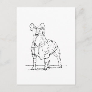 Postal Bulldog Francés Divertido - Pensando en Ti