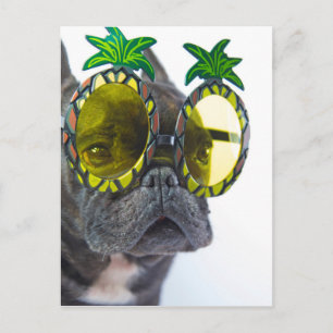 Postal Bulldog francés en la playa