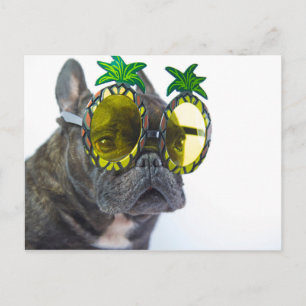 Postal Bulldog francés en la playa