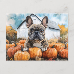 Postal Bulldog francés en parche de calabaza