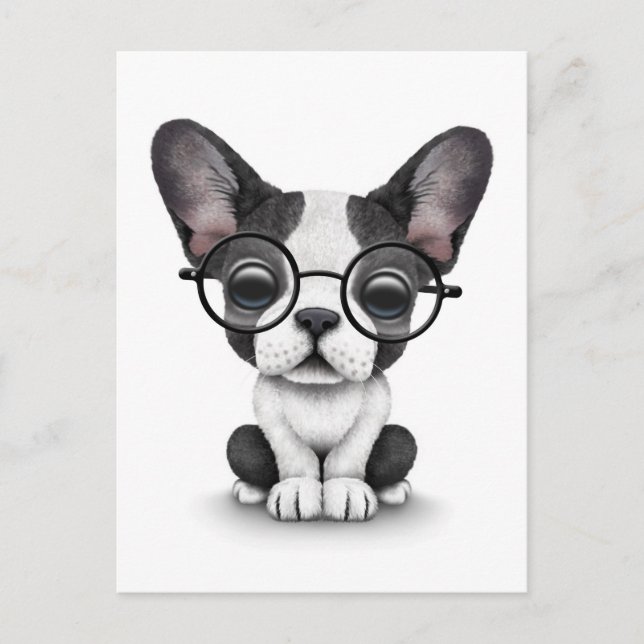 Postal Bulldog francés lindo cachorro con gafas, blanco (Anverso)