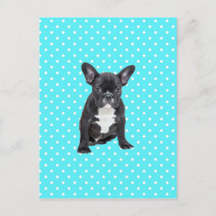 Postal Bulldog francés lindo con puntos de polka azul