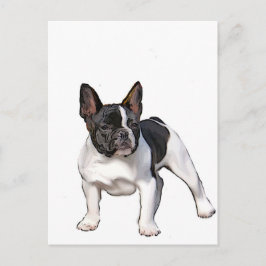 Postal Bulldog FRANCÉS NEGRO Y BLANCO