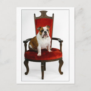 Postal Bulldog inglés real