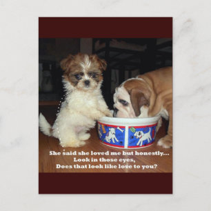 Postal Bulldog inglés y chií zu pipa
