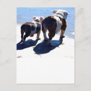 Postal Bulldog inglés y pipa