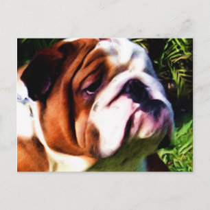 Postal Bulldog inglesa