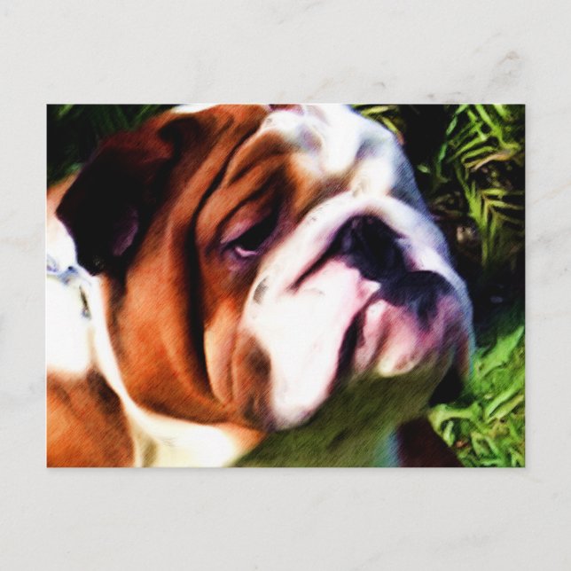 Postal Bulldog inglesa (Anverso)