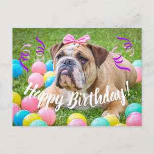 Postal Bulldog lindo feliz cumpleaños