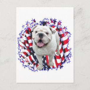 Postal Bulldog Patriota